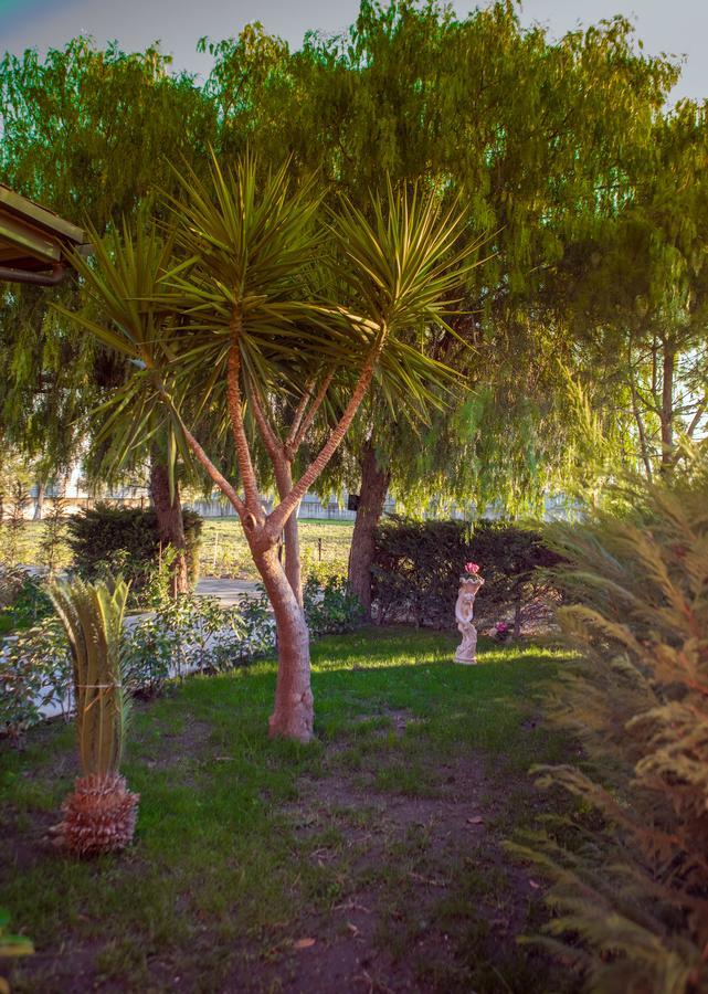 فندق Mariglianellaفي  My Svago المظهر الخارجي الصورة